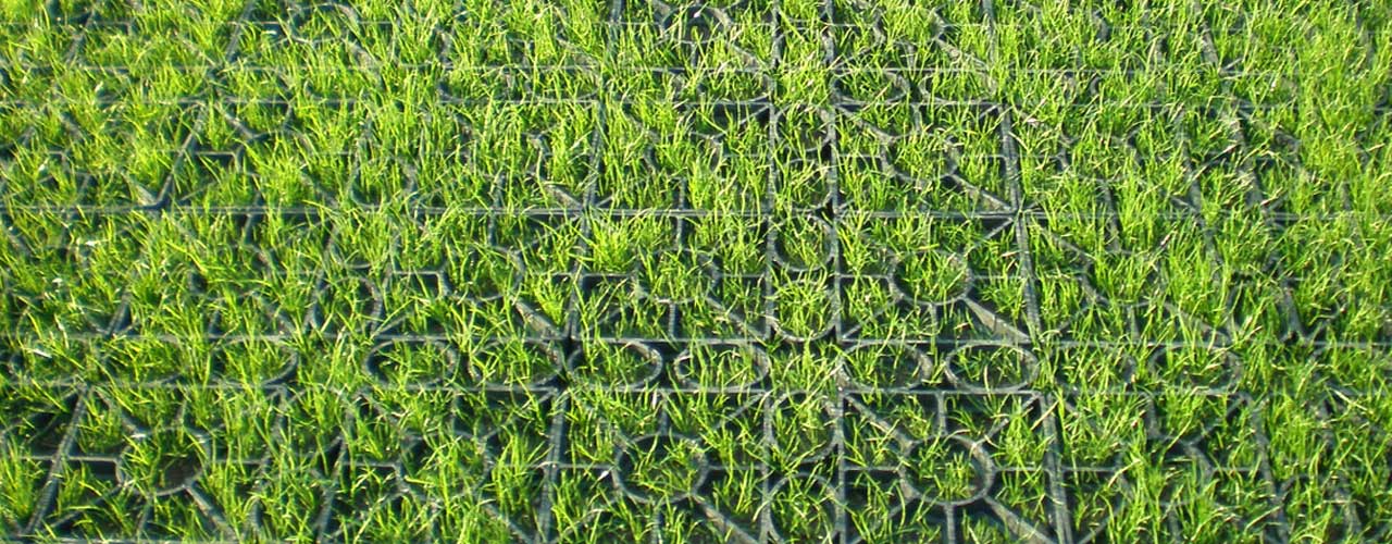Grass Stabilisation