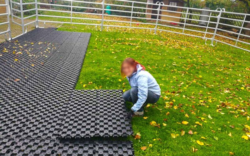 Verwandlung von 80m² Rasenfläche in ein matschfreies Pferdepaddock