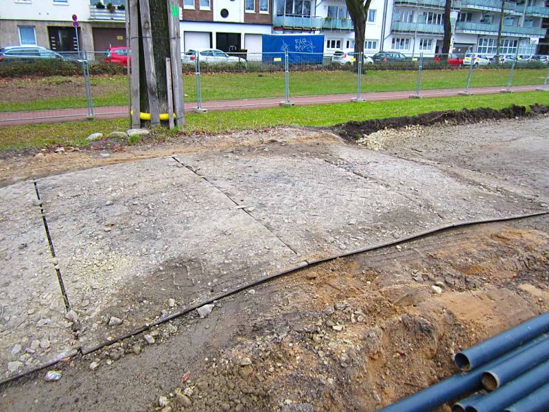 Sanierung einer Deichanlage - Wurzelschutz / Baumwurzelschutz