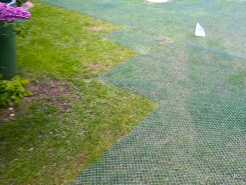 Rasennetz RN640 zur Rasenverstärkung und Rasenschutz im Garten und Hof