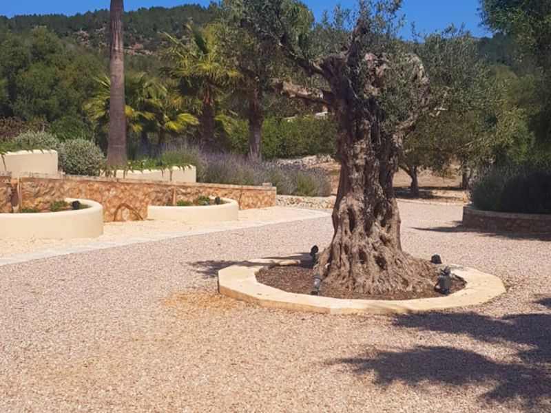 Wie eine Werbung für einen Mallorca Urlaub das kann unser Kiesgitter KG30