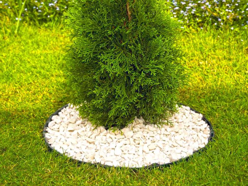 Randeinfassung aus Kunststoff als Rasenkante bzw. Beetkante für Pflanzflächen