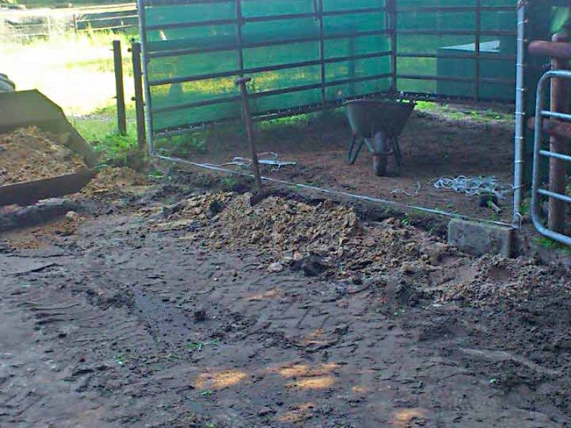 Verlegung des Bodengitter BG30 ohne Unterbau für ein Pferde Paddock / Offenstall