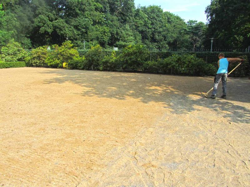 Rasennetz zur Rasenverstärkung eines Rasenparkplatz aus Rollrasen