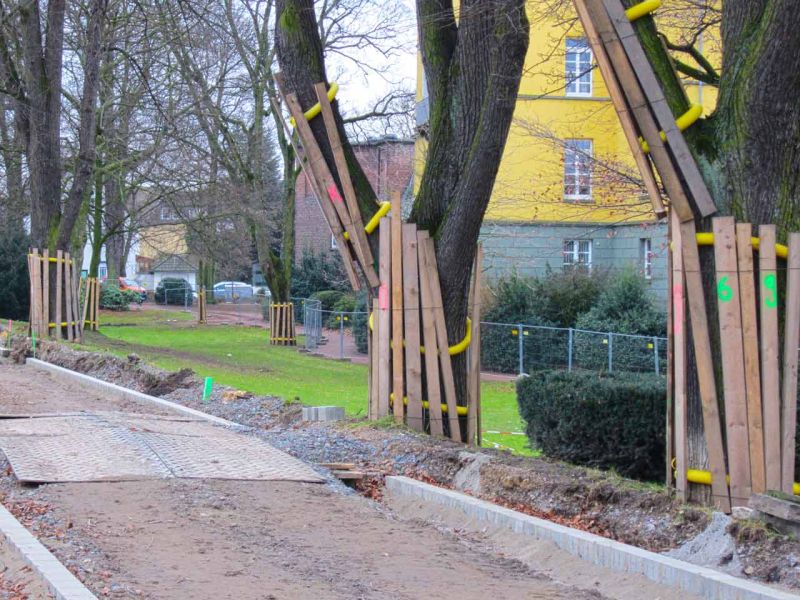 Sanierung einer Deichanlage - Wurzelschutz / Baumwurzelschutz