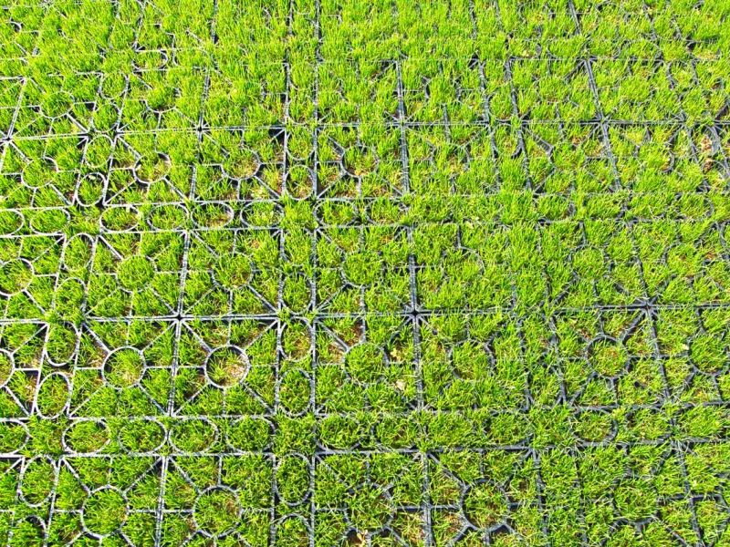 Rasengitter RG24 zur Stabilisierung eines Besucherparkplatz einer Kirche