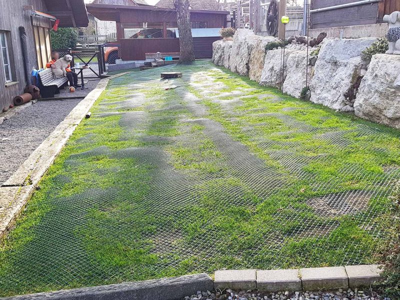 Hunde wühlen & buddeln gerne, leider auch im eigenen Garten. Hier sehen Sie wie man man einen Rasen bzw. Wiese vor Wühl & Buddelattacken effektiv schützt...