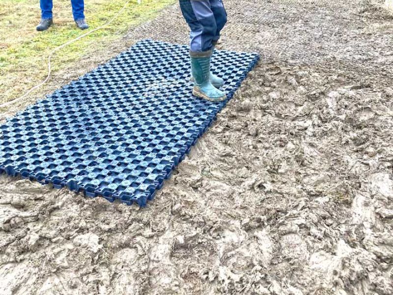 Schnelle und einfache Verlegung der Paddockplatten im bzw. auf dem Matsch und Unterbau