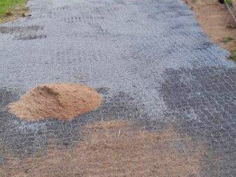 Befestigter und Matschfreier Stallauslauf für Kühe mit dem Bodengitter BG30