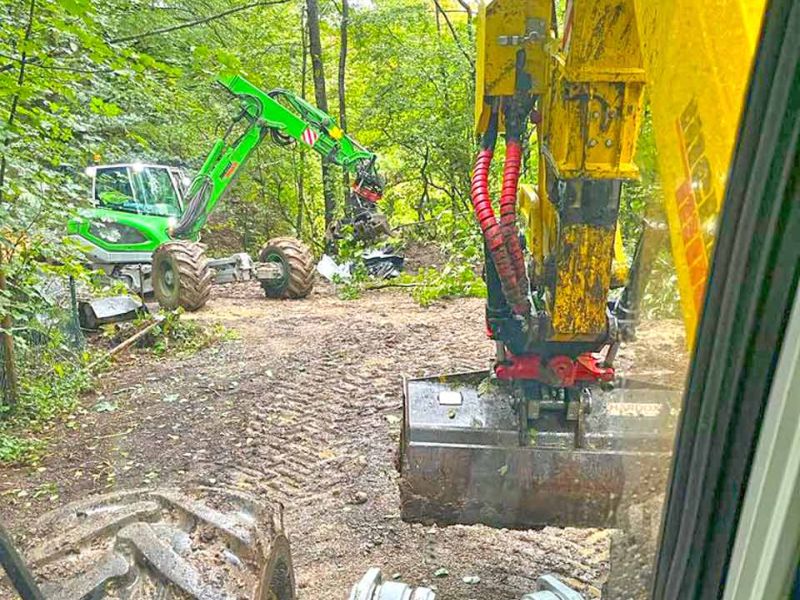 Fahrplatten zum Schutz des Waldboden während Baumfällungen am Bachlauf