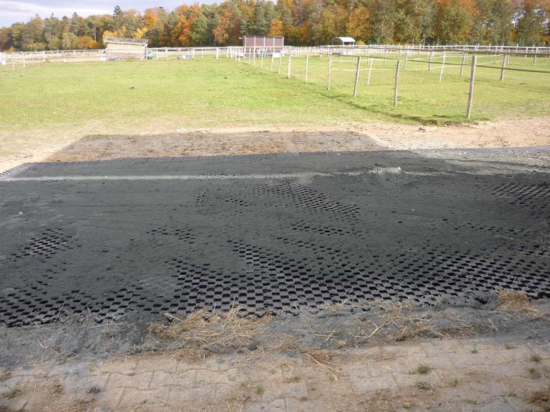 Paddockplatte pp60 für ein Profi Pferde paddock