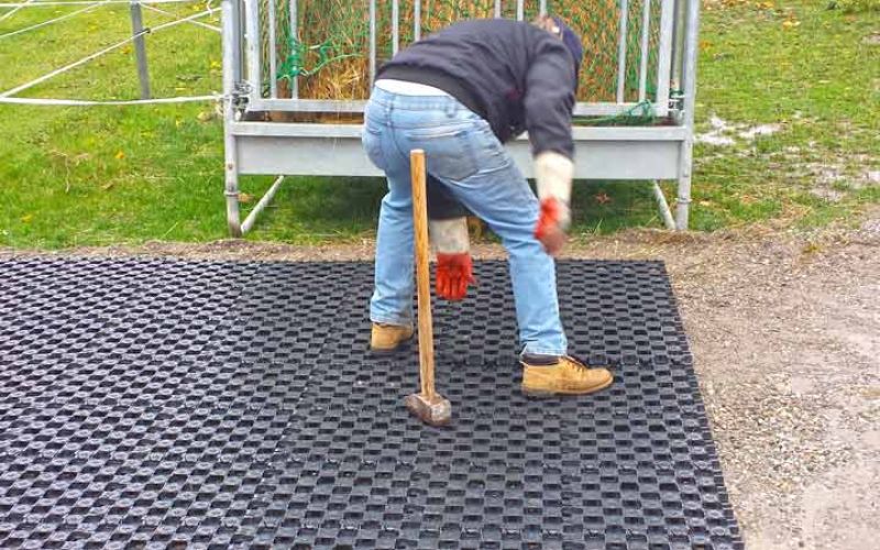 Paddockplatten PP60 Pferde Paddock Verlegen 017 referenz