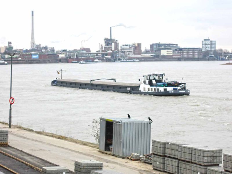 Sanierung einer Deichanlage - Wurzelschutz / Baumwurzelschutz