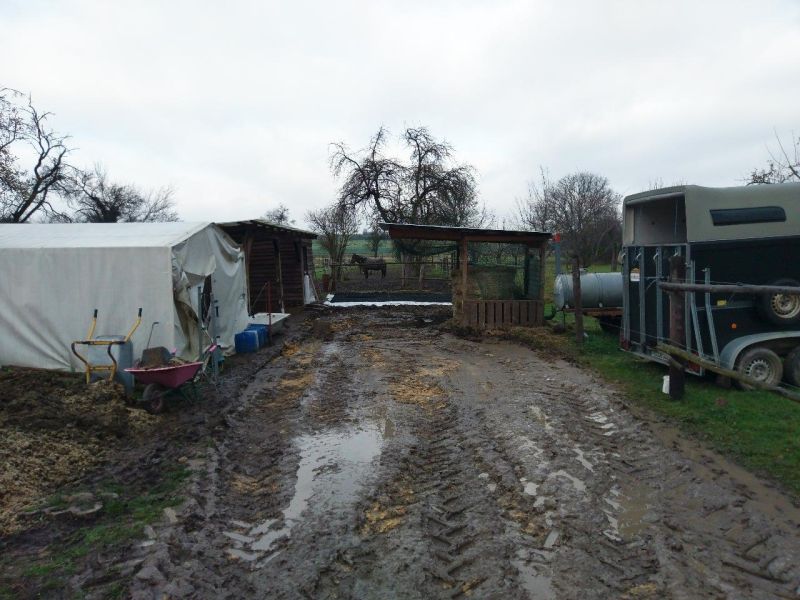 Matsch & Schlamm Ade. Das Paddock versinkt im Matsch, Pferde stehen im Schlamm. Das muss nicht sein, Bodengitter und Trennvlies von Securatek lösen das Problem!
