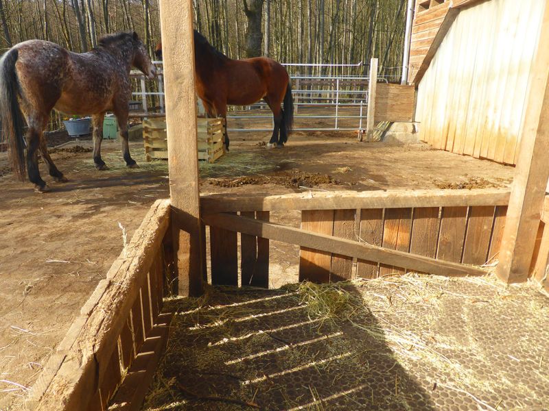 Update zu unserem Artikel "Befestigter Freilauf bei einer Pferdepension mit der Paddockplatte PP60"