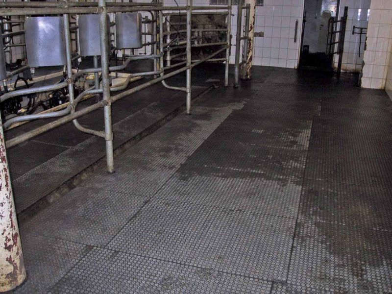 Bodenmatte aus Weich-PVC als Kuhmatte für Lauf,- Steh,- Liegeflächen in der Viehhaltung