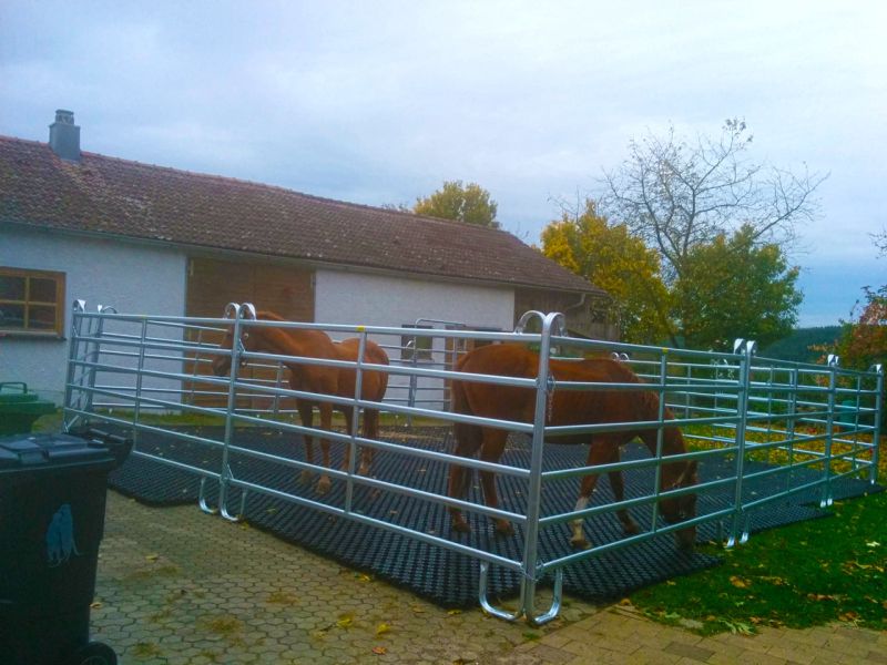 Verwandlung von 80m² Rasenfläche in ein matschfreies Pferdepaddock