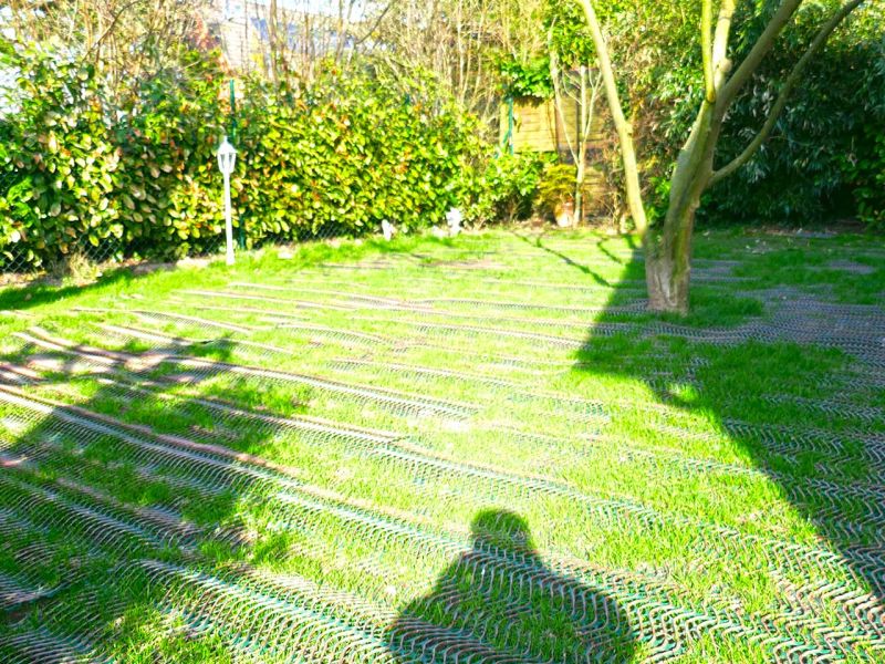 Hundebesitzer aufgepasst! Nie mehr Löcher im Garten, Wiese, und Rasen durch Wühlen & Buddeln mit dem Rasennetz RN