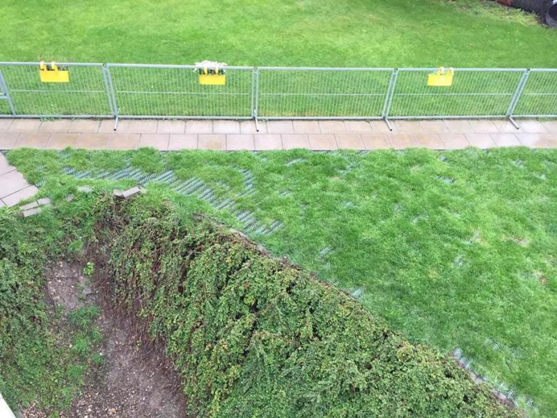 Rasennetz RN 1800 als Wühlschutz, Buddelschutz für den Hundeauslauf im Garten