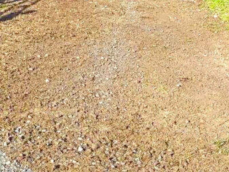 Befestigter und Matschfreier Stallauslauf für Kühe mit dem Bodengitter BG30