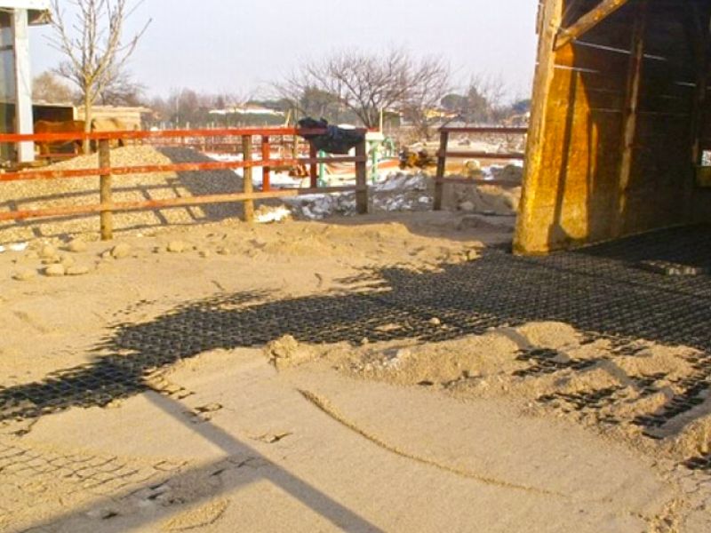 Bodengitter als Paddockplatte, Paddockgitter zur Pferdehaltung und Reitsport
