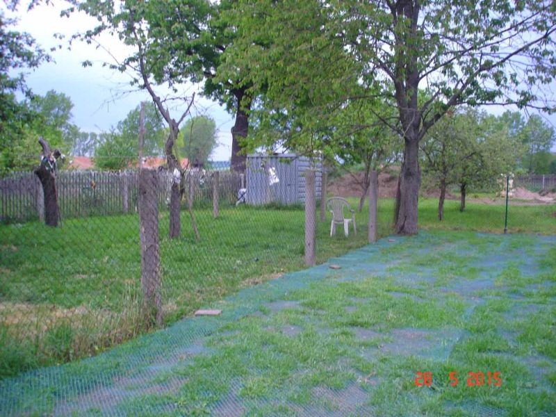 Rasennetz als Wühlschutz und Buddelschutz für Hühner in der Freilandhaltung