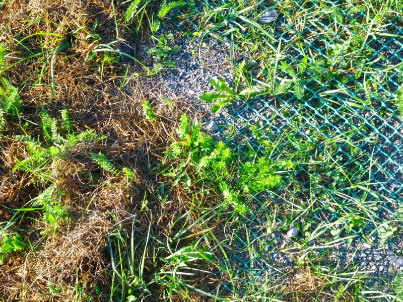 Bodenbefestigung eines Pferdeauslauf mit Weidezelt und Futterplatz