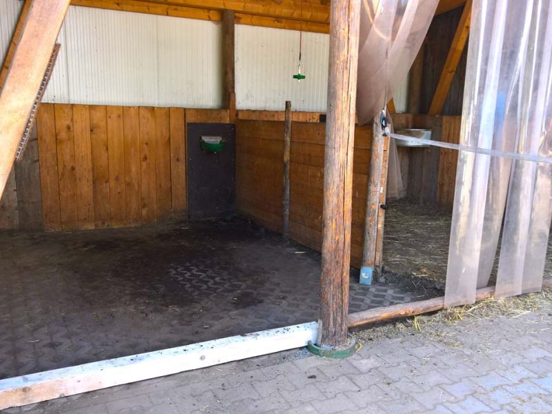 Verlegung von Bodenmatten als Stallboden für einen Pferdestall