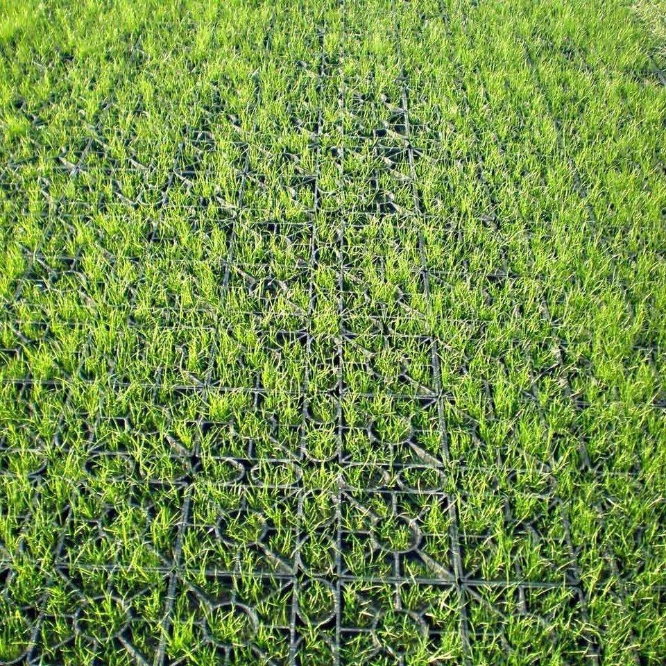 Rasengitter RG24 · 0,25 m² · 500 x 500 x 24 mm · 1,00 kg · Belastbar bis ca. 100 t/m² · On-Top Verlegung ohne Unterbau · Rasenbefestigung