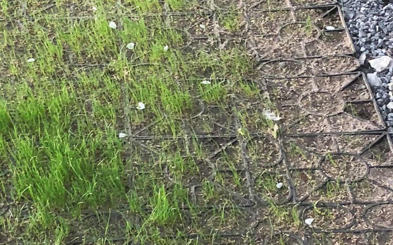 Rasengitter RG24 vorhof anlegen stabilisieren 04 referenz