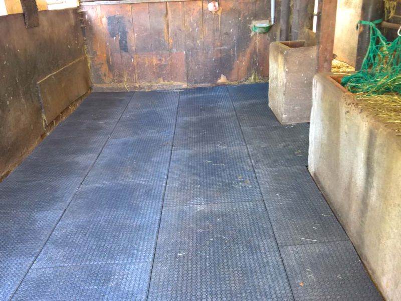 Verlegung von Bodenmatten als Stallboden für einen Pferdestall