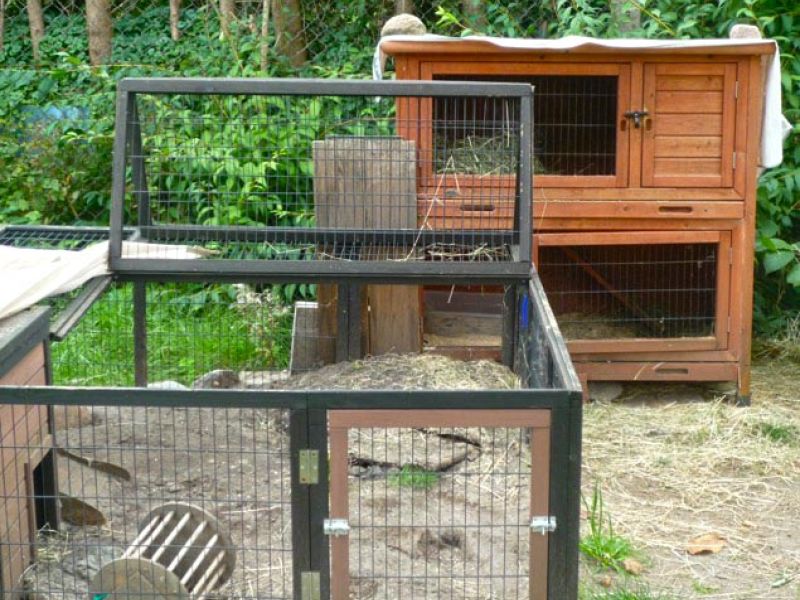 Kunststoff Rasengittersteine als Buddelschutz / Wühlschutz für Kaninchen