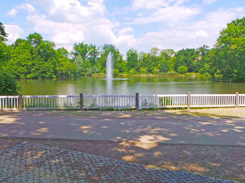 Fahrplatten zum Schutz von Baumwurzeln (Wurzelschutz)