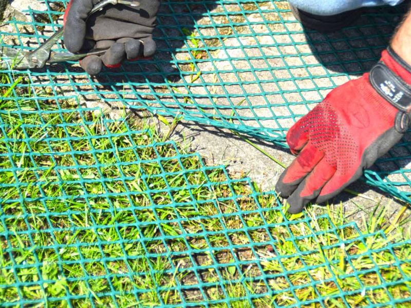 Wühlschutz und Buddelschutz für Hunde im Garten mit dem Rasennetz RN450