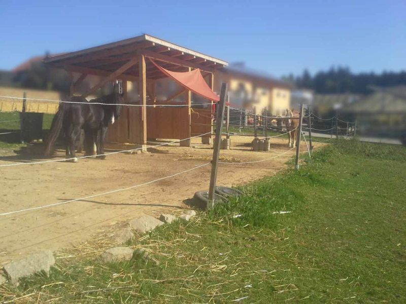 Herstellen eines Pferdepaddock ohne Unterbau mit dem Bodengitter BG30