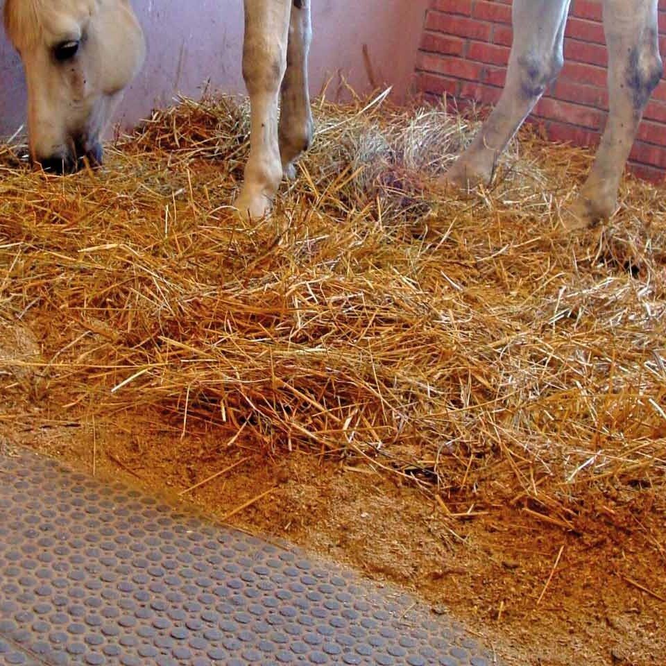 Ein Pferd steht in einem Stall auf Heu. Unter dem Heu wurden Bodenmatten verlegt.