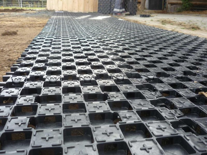 Paddockplatte pp60 für ein Profi Pferde paddock