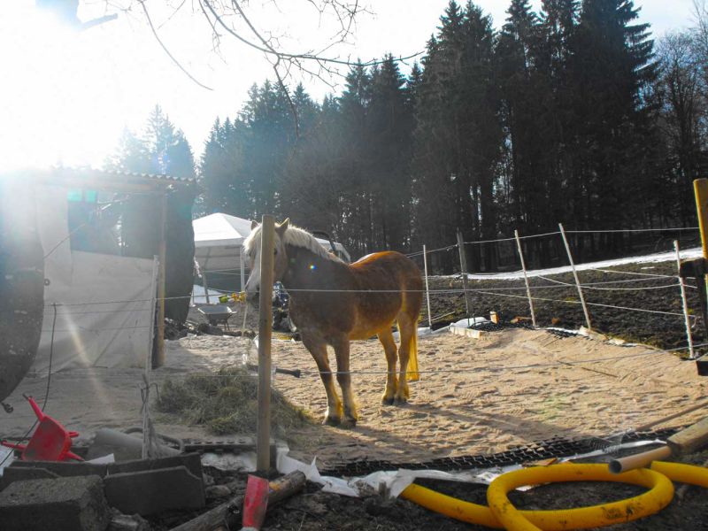 Verlegung des Bodengitter BG30 ohne Unterbau zur Herstellung eines Paddock