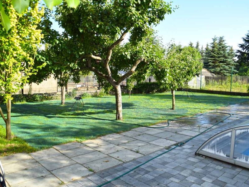 Wühlschutz und Buddelschutz für Hunde im Garten mit dem Rasennetz RN450