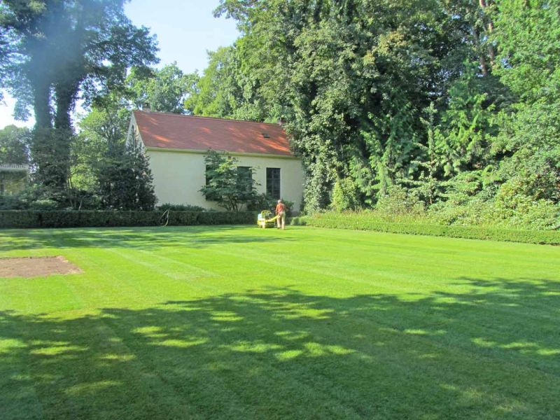 Rasennetz zur Rasenverstärkung eines Rasenparkplatz aus Rollrasen