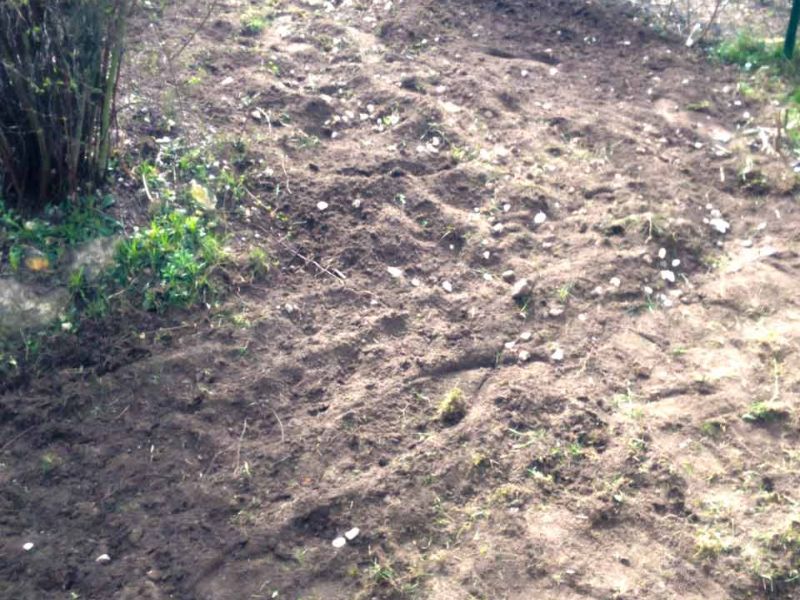 Rasennetz RN640 als Wühlschutz / Buddelschutz für die Haustierhaltung im Garten