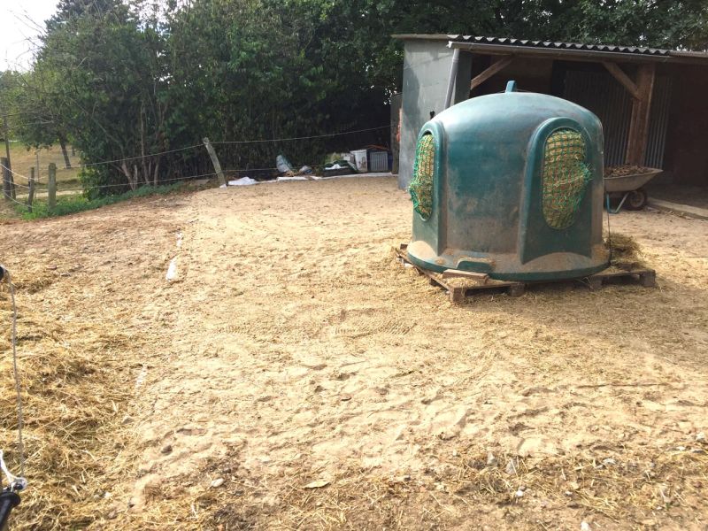 Futterplatz, Paddock und Offenstall - Matschfreie Bodenbefestigung ohne Unterbau