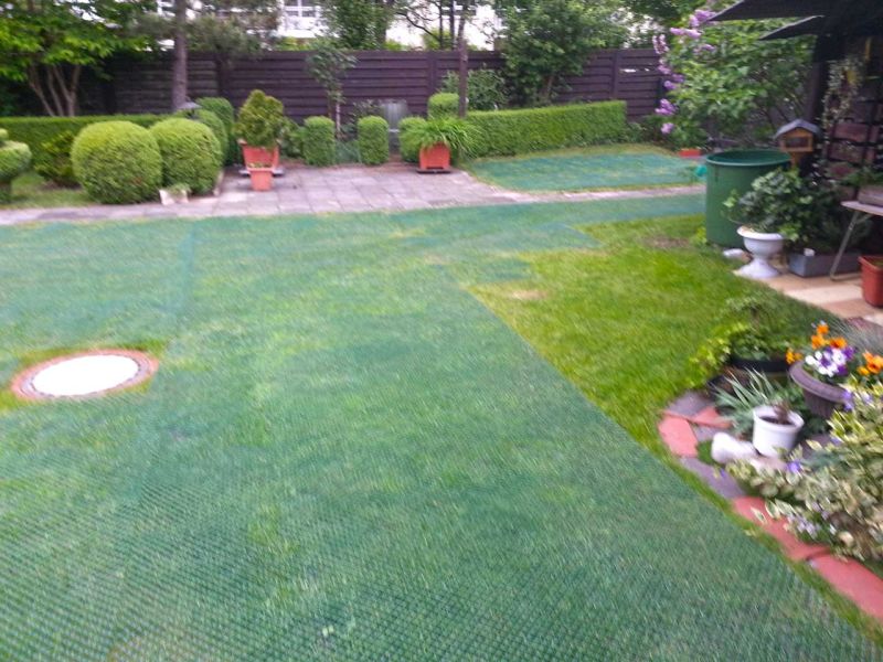 Rasennetz RN640 zur Rasenverstärkung und Rasenschutz im Garten und Hof