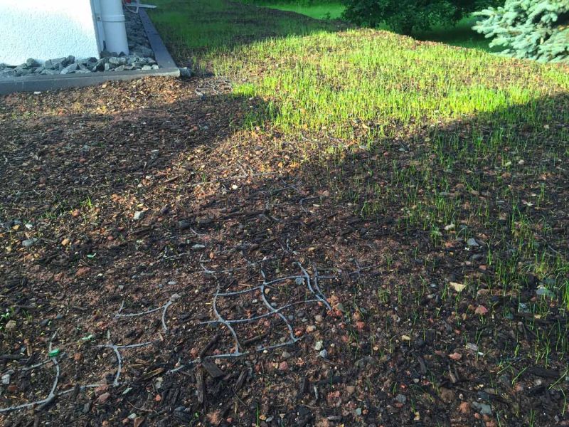 RASEN VERSTÄRKEN UND BEFAHRBAR MACHEN MIT BODENGITTER BG50 AUS KUNSTSTOFF