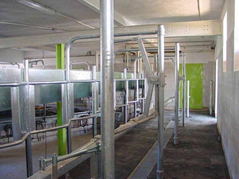 Bodenmatte aus Weich-PVC als Kuhmatte für Lauf,- Steh,- Liegeflächen in der Viehhaltung