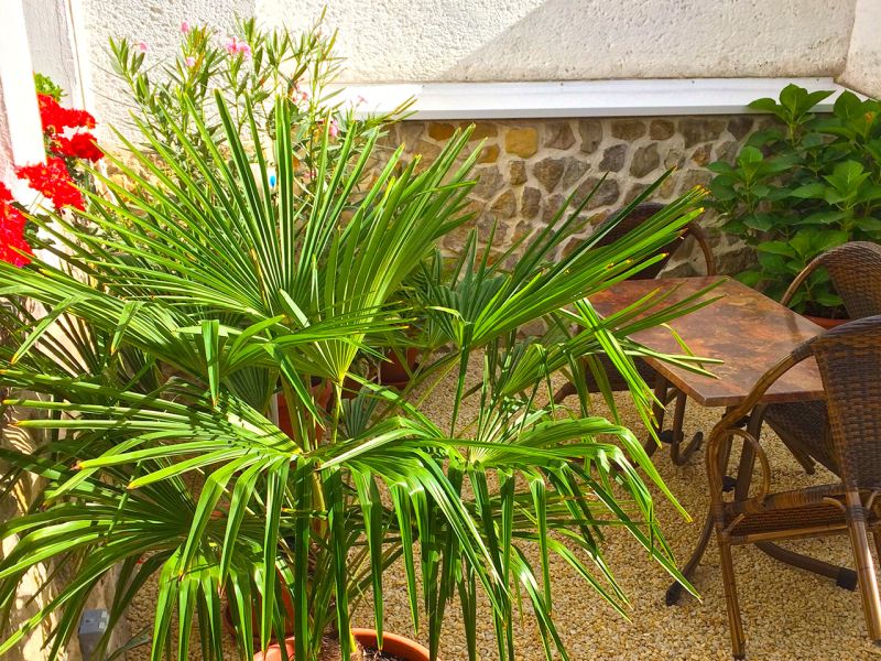 Begehbare Kiesfläche im Eingangsbereich eins Wohnhauses mit der Kieswaben KW30