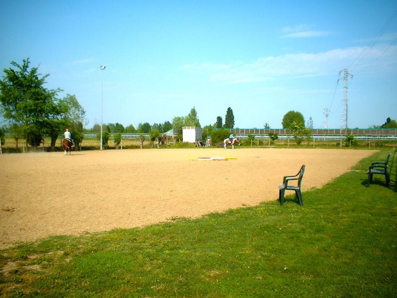 Bodengitter als Paddockplatte, Paddockgitter zur Pferdehaltung und Reitsport