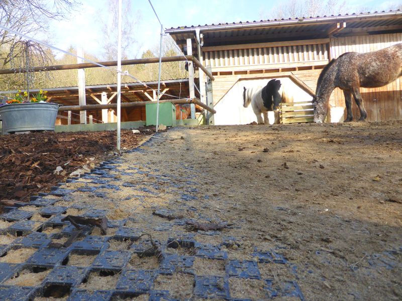 Update zu unserem Artikel "Befestigter Freilauf bei einer Pferdepension mit der Paddockplatte PP60"