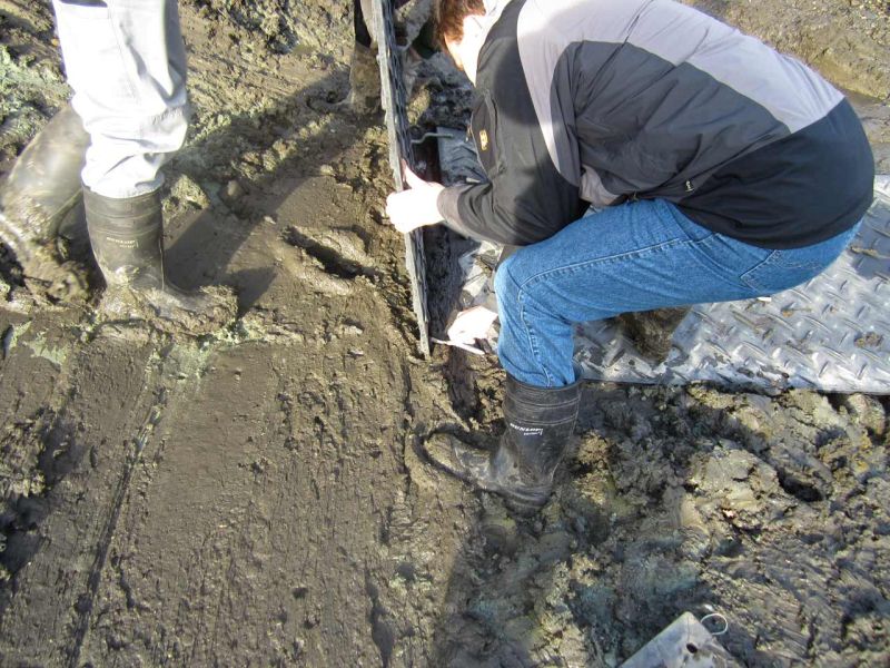 Fahrplatten als Hilfe zur Teichentschlammung