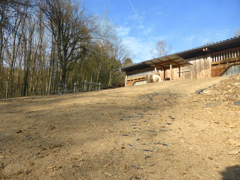 Update zu unserem Artikel "Befestigter Freilauf bei einer Pferdepension mit der Paddockplatte PP60"